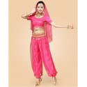 Costume de danse indienne Haut + Pantalon + Ceinture