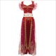 Tenue de danse indienne classique