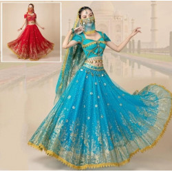 Costume princesse indienne haut + jupe