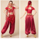 Costume de princesse indienne top + pantalon satin