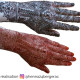 Cône de henna Kaveri sans PPD marron