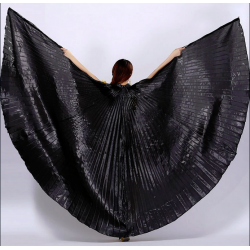 Ailes d'isis de danse orientale noir
