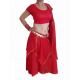 Costume de danse indienne rouge et doré