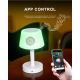 Veilleuse - Lecteur Coran Complet Bluetooth