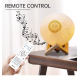Lecteur Coran Complet et Veilleuse Bluetooth