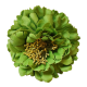 Fleur à cheveux vert foncé
