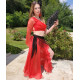 Costume de danse flamenco orientale 2 pieces rouge 