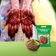 Henné poudre 500gr Neha Rachni Mehandi du Rajastan