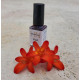 Coloration pour les ongles Henna Nail
