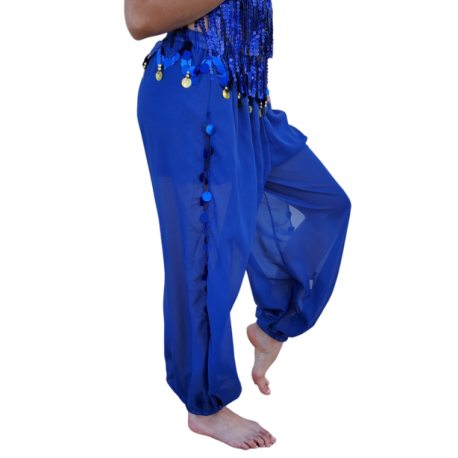 Sarouel de danse orientale et indienne Femme