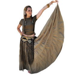 Tenue tribale de danse orientale Kaki top et jupe