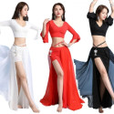 Tenue de danse orientale en lycra pailleté 2 pièces