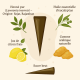 Cône de Henné Naturel du Sojat Artisanal, 40 g