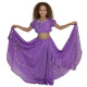 Costume de danse orientale enfant violet - 3