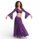 Costume de danse orientale violet top jupe - 1