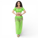 Costume de danse orientale top sarouel vert