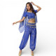Costume de danse indienne Haut + Pantalon + Ceinture - 2