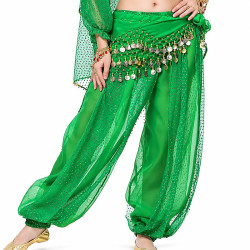 Sarouel de danse orientale vert foncé à paillettes dorées, porté par une danseuse, avec ceinture à pièces métalliques et tissu fluide transparent.