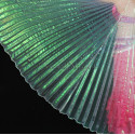 Ailes d'isis de danse orientale blanc transparent