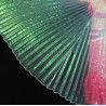 Ailes d'isis de danse orientale blanc transparent