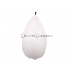 Lot de 10 plumes blanches