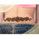 Tatouage de dos pailleté