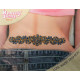 Tatouage de dos pailleté