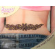 Tatouage de dos pailleté