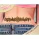 Tatouage de dos pailleté