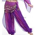 Sarouel de danse orientale violet