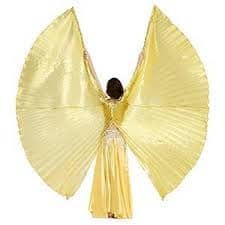 ailes ouvertes