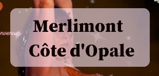 Cours de danse orientale à Merlimont avec Karène d’Orient